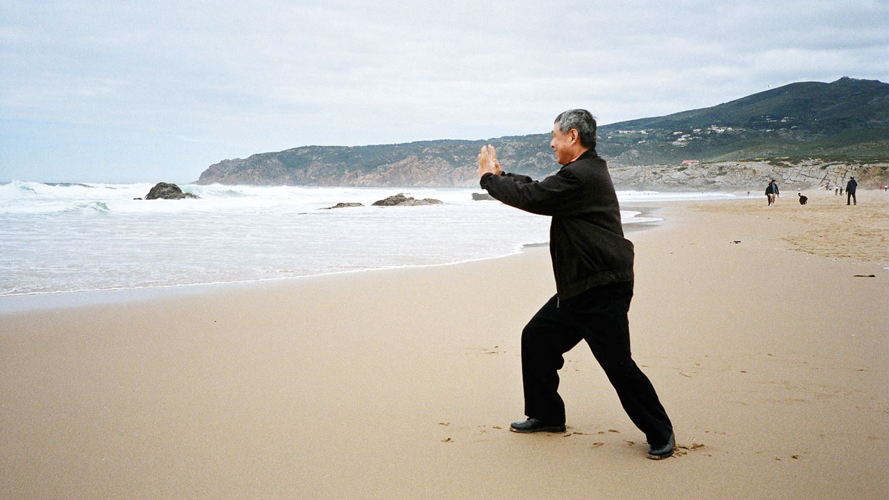 Dr Shen Hongxun, demonstrating Taiji 37 'LanZhaYi An' - Push the Mountain posture