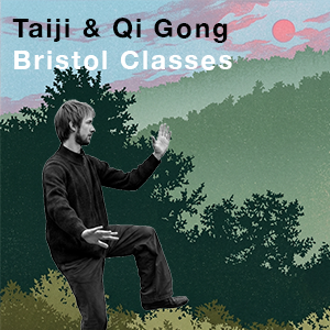 Personal Training in Tai Chi and Qi Gong