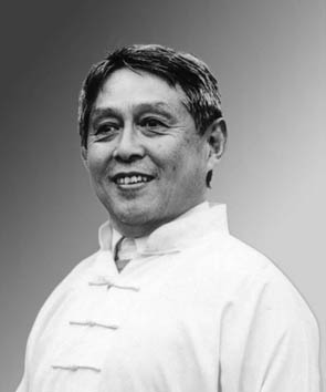 Dr Shen Hongxun, Grandmaster and founder of the Buqi Institute. Bruce Turner's main teacher.